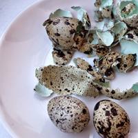 Перепелиные яйца: маленькое чудо природы с большой пользой для здоровья